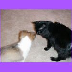 Checking Each Other Out.jpg